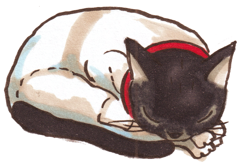 A drawing of a tuxedo cat sleeping
